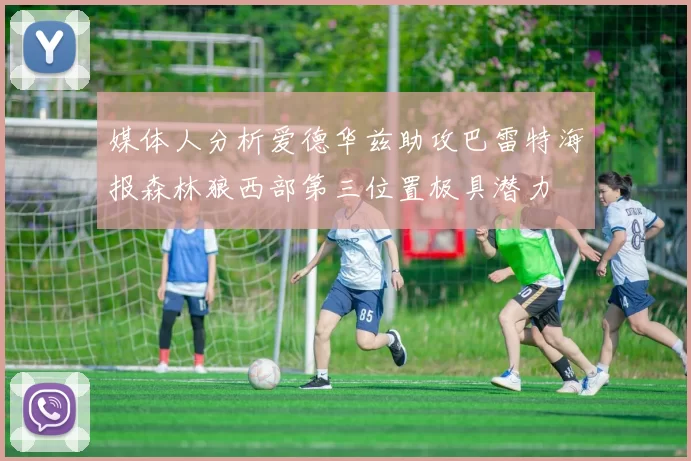 媒体人分析爱德华兹助攻巴雷特海报森林狼西部第三位置极具潜力